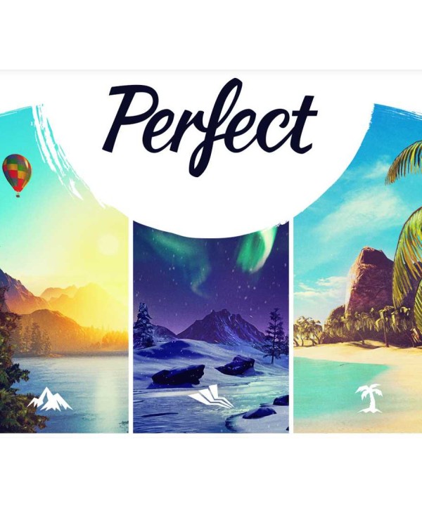 Perfect Steam Key GLOBAL